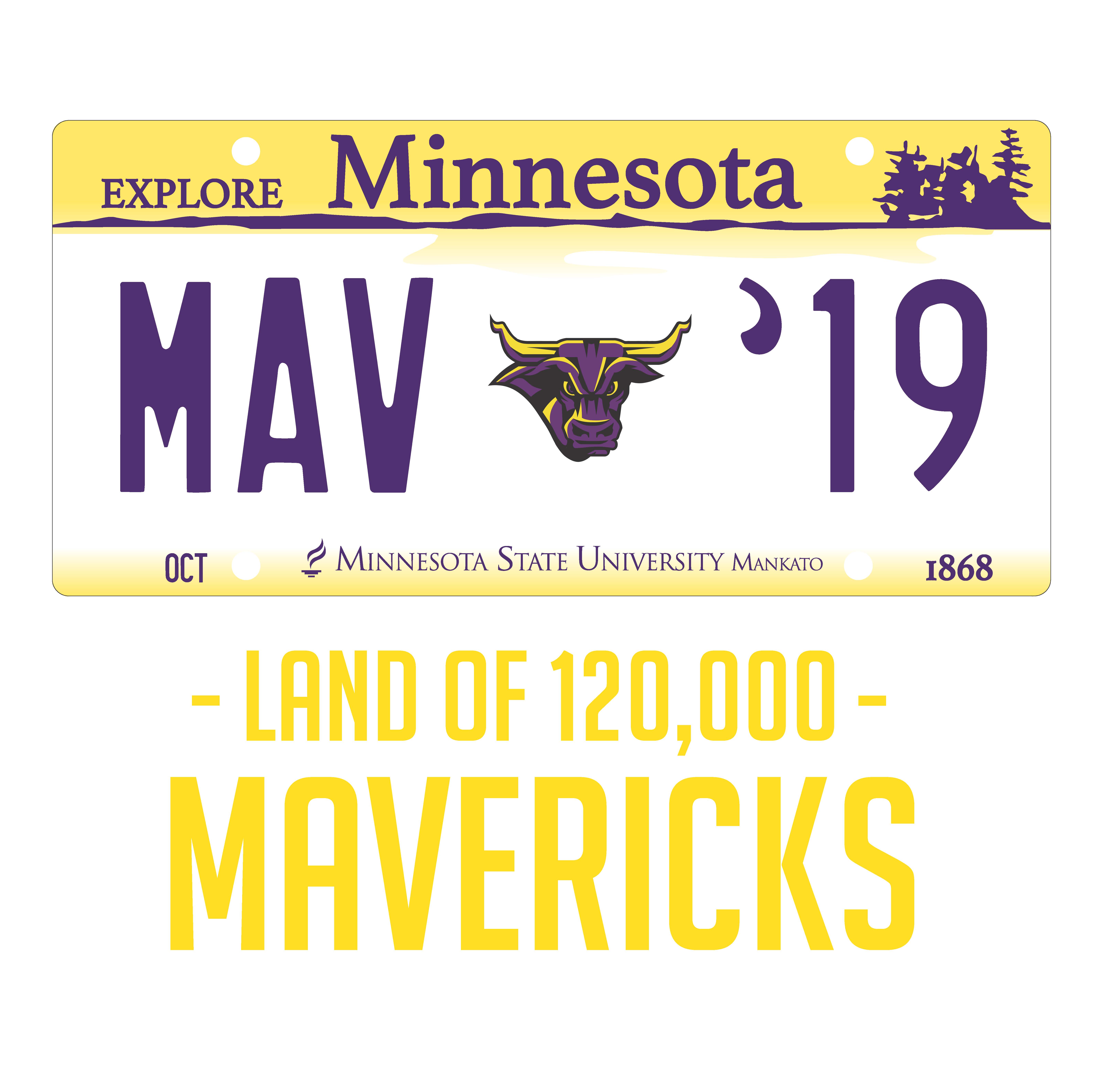MN license plate copy that is MSU looking. 